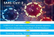 1119-Alignment_of_SARS-CoV-2_in_comparison_with_other_coronaviruses